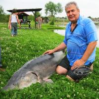 Там, где «Золотой сазан»